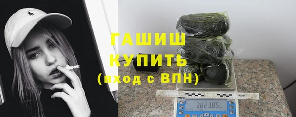 стаф Карпинск