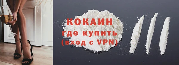 стаф Карпинск