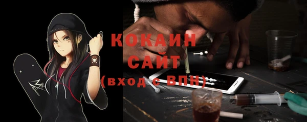стаф Карпинск