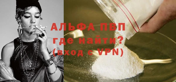 стаф Киренск
